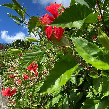 Fond BoucherLocations Morne Aux Vents公寓 外观 照片