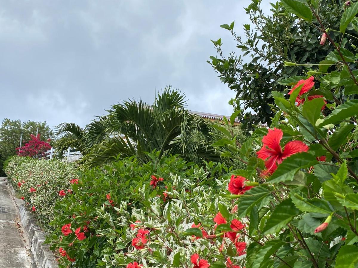 Fond BoucherLocations Morne Aux Vents公寓 外观 照片